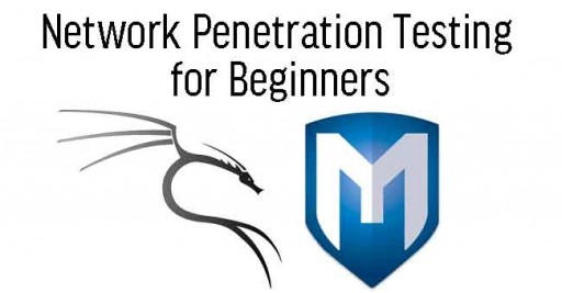 Network Penetration Testing for Beginners