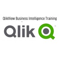 QlikView Business Intelligence Training