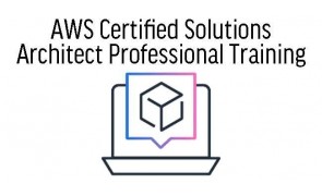 AWS Certified Solutions Architect Professional Training