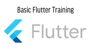 Basic Flutter Training in HRDF Course in Ghana