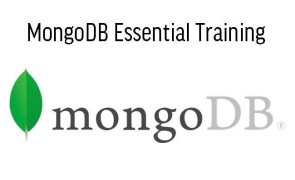 MongoDB Essential Training - Ghana