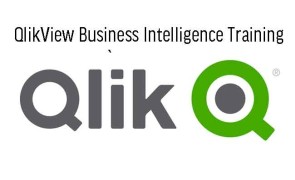 QlikView Business Intelligence Training  in Ghana