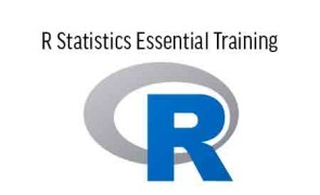 R Programming and Statistics Training in Ghana