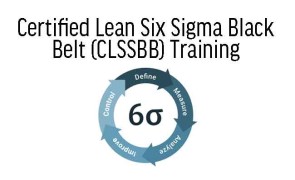 Certified Lean Six Sigma Black Belt (CLSSBB) 